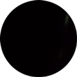 Profile photo of Ms. Collins