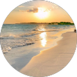 Profile photo of Marilyn RIOS