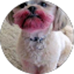 Profile photo of Gary Albers