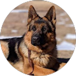 Profile photo of Daltone Lukalia