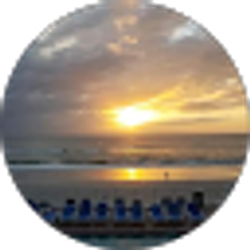 Profile photo of Sandi k
