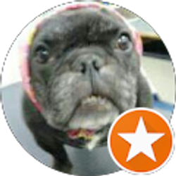 Profile photo of Bill Moyer