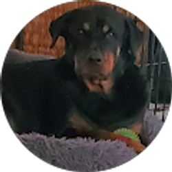 Profile photo of Hunter