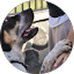 Profile photo of Ittyturp F