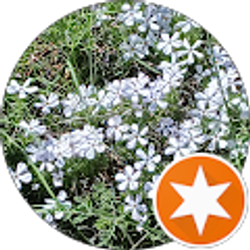 Profile photo of Eve Emerson