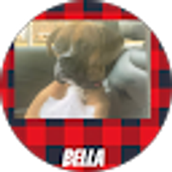 Profile photo of Lana Casiello