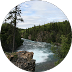 Profile photo of Shannon Wyckoff