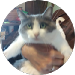 Profile photo of B Man