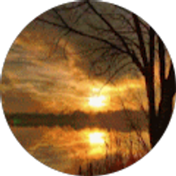 Profile photo of Terase Mckenzie