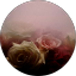 Profile photo of Joy K