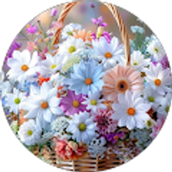 Profile photo of Margarita Villegas