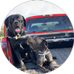 Profile photo of Daniel Mata