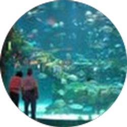 Profile photo of Jimmy Swicegood