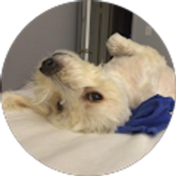 Profile photo of Keith Luczywo