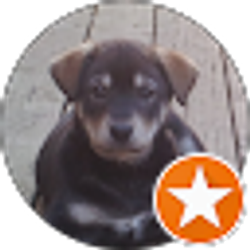 Profile photo of Christina Brewer