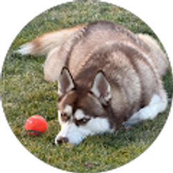 Profile photo of Kate Higinbotham