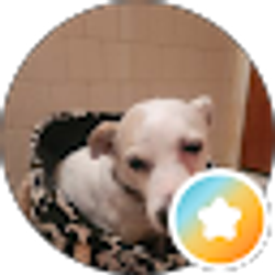 Profile photo of Kristopher Klenotiz