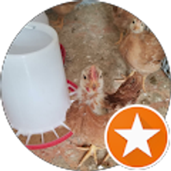 Profile photo of Sonja Crockett