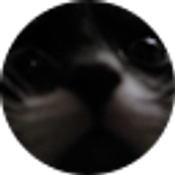 Profile photo of 梁芷穎