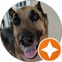 Profile photo of NnM