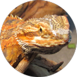 Profile photo of Carter Dabney