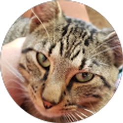 Profile photo of CynthiaK