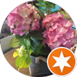 Profile photo of Adri P