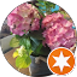 Profile photo of Adri P