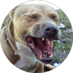 Profile photo of MACHCRAFT Work