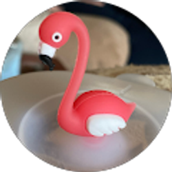 Profile photo of Frankie Singleton