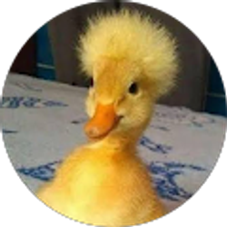 Profile photo of Alexis