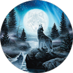 Profile photo of Mad Wolf