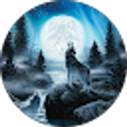 Profile photo of Mad Wolf
