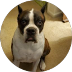 Profile photo of Matthew Simpson