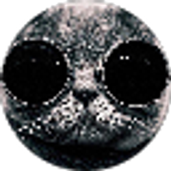 Profile photo of ONLY THE BEST VIDEOS AND MORE FUN