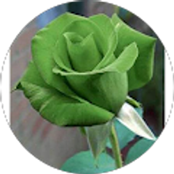 Profile photo of MzDee H