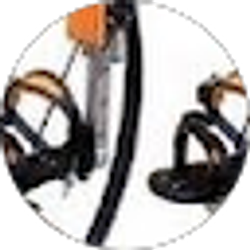 Profile photo of L T