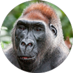 Profile photo of Derek Hampson (Soggy Underwear)