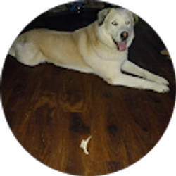 Profile photo of Anthony Bliss