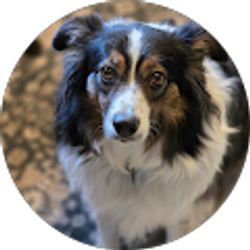 Profile photo of Jessie Hamilton