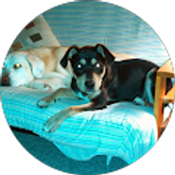 Profile photo of Doug Tucker