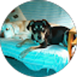 Profile photo of Doug Tucker