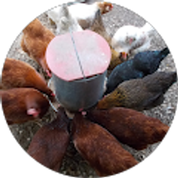 Profile photo of 6996katmom