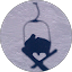 Profile photo of michael voxakis