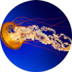 Profile photo of ethan oman