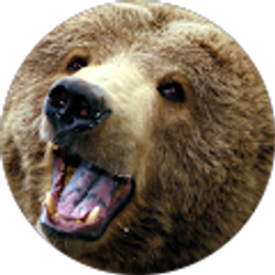 Profile photo of Damyen Bair