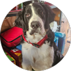 Profile photo of Randall Duren sr