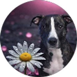 Profile photo of Nicki Creamer