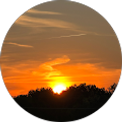 Profile photo of John Shrum