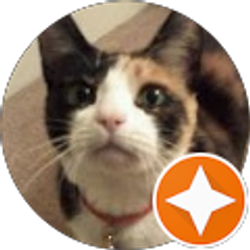 Profile photo of Doretta Carbone